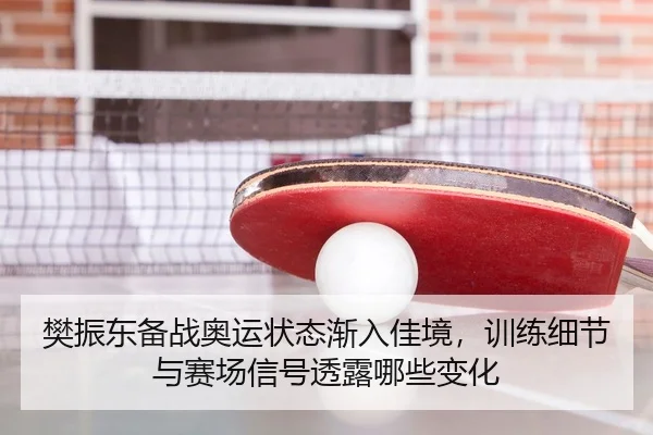 樊振东备战奥运状态渐入佳境，训练细节与赛场信号透露哪些变化