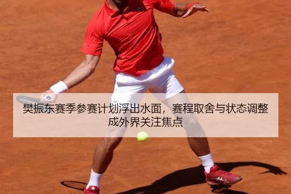 樊振东赛季参赛计划浮出水面，赛程取舍与状态调整成外界关注焦点